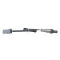 12643903 55570074 Oxygen Sensor